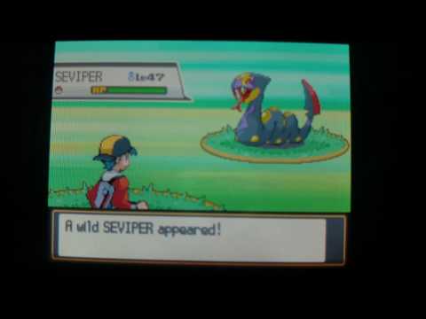 seviper