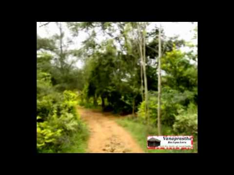 Vanaprastha Backpackers Videosu