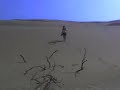 Medanos de Coro. Venezuela