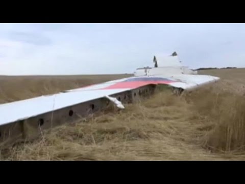Malaysia Airlines Flight MH17 Shot Down: Timeline of What Happened