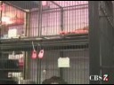 Local Pet Store Under Fire