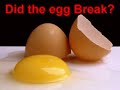 The Egg Drop Science Experiment