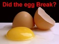 The Egg Drop Science Experiment