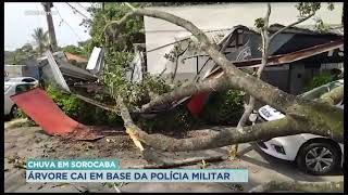 Chuva em Sorocaba: Árvore cai em cima de Base da PM