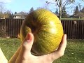 High-Speed Stuff Accelerator - Pneumatic Cannon In Action