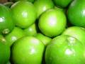 SUCO PARA A MEMORIA
