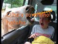 Os melhores flagras ja registrados!