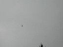 Steve and his Mulplex Micro Jet at Timberlane