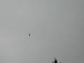 Steve and his Mulplex Micro Jet at Timberlane
