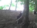 graves park mischeif =]