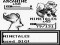 Pokemon Brown Elite 4 Battle 1