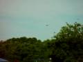 videos de Waterman Aerobile trim flight - 2