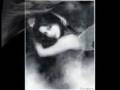 angel.wmv