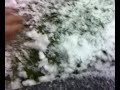 Neve em Guimar�es - Universidade do Minho