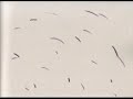 ながれつづける物語　　Nagare-tudukeru-monogatari
