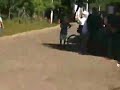fiestas en el salvador