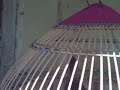 Video0013.3gp
