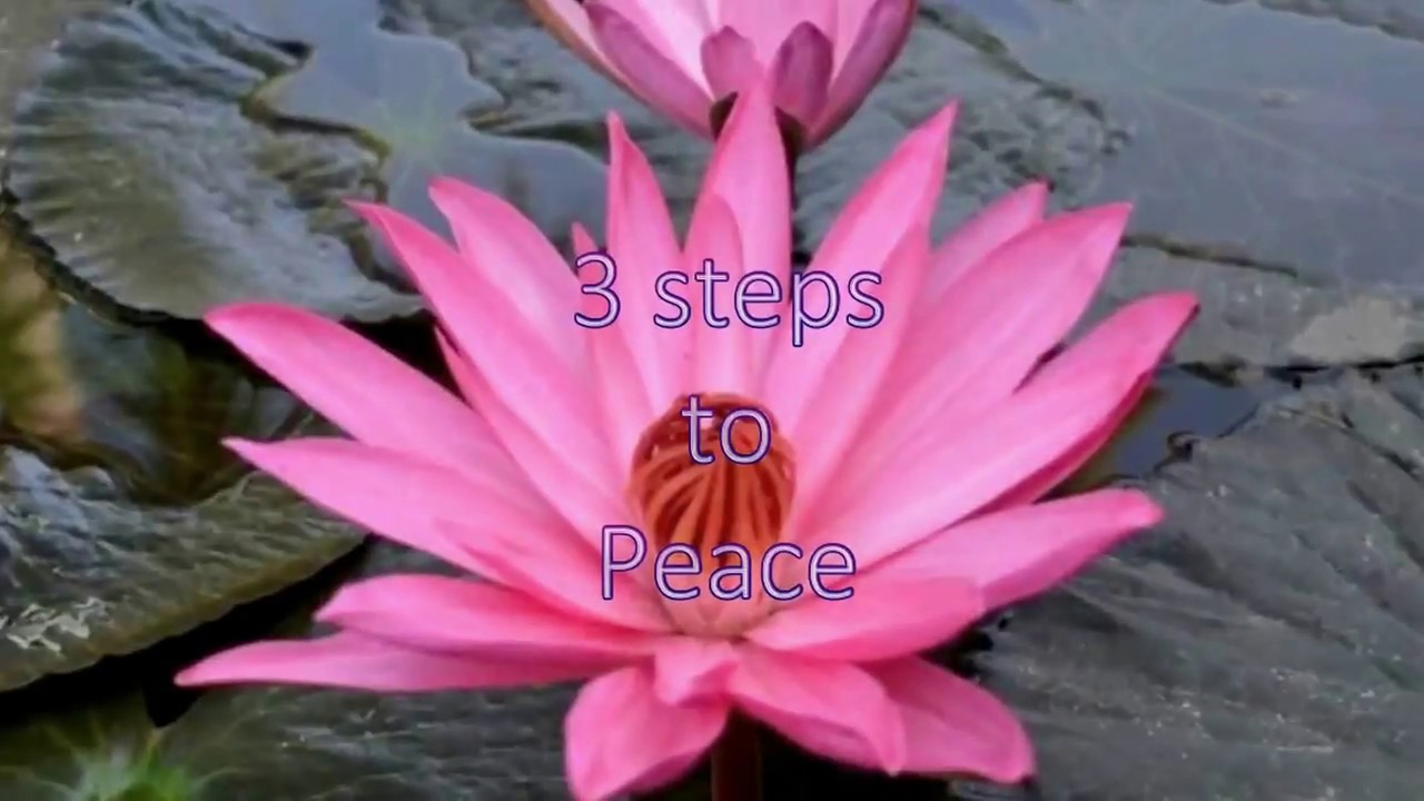 3 Steps to Peace