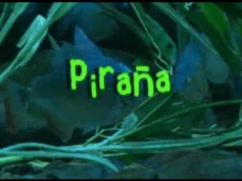 Imagen de previsualización de YouTube