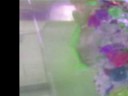 Tanya The Fish - Bubble Rave [Official Video]