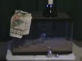 Leapin Lizards!