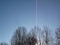 Invasion of geese, part 2