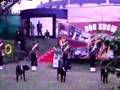 IITF Dog Show