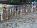 Lerik's hula