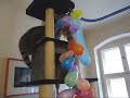 Waschb�r \"Molly\" vs 24 Luftballons / Raccoon vs 24 balloons