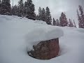 Black Bear Glade