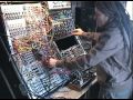 Steevio - Live modular techno/house studio jam