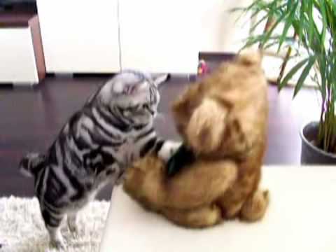 See video