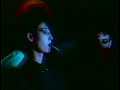 Borghesia - Divlja horda (1984)
