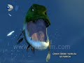 �irkin �rdek Yavrusu ile Farecik Dinlemesini Bilsen