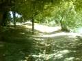 Bords de Marne à Chelles (1/2)