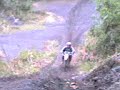 RD135 Papael zanette