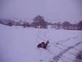 me peing pulled by quad