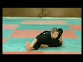 Do the Split - Flexibility for Martia arts
