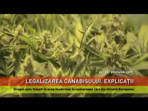 Legalizarea canabisului. Explicaţii