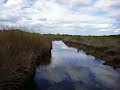 EVERGLADE AIRBOAT RIDE