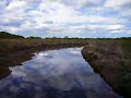 EVERGLADE AIRBOAT RIDE
