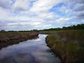 EVERGLADE AIRBOAT RIDE