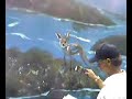wyland life video day 8 section 3