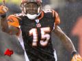 Bengals' Chris Henry Dies Day After Dispute