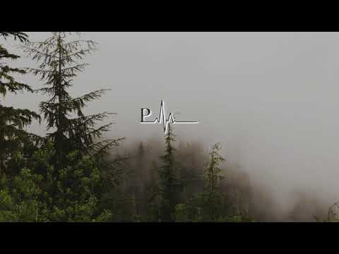 Quinn XCII - Tourist