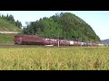 3096ﾚ EF81-148牽引 王子保～南条にて