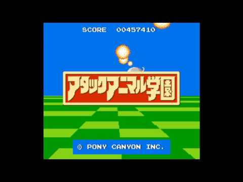 動画
