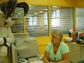 Coelhos na PUC-Rio