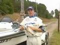 Fishing Tips from Lurenet.com