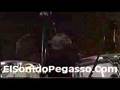 Grupo Pegasso Del Pollo Estevan "Muchas Razones"